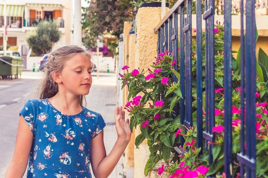 amenagement-entree-exterieure-fleurs