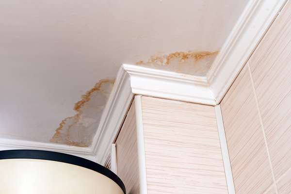 plafond sale