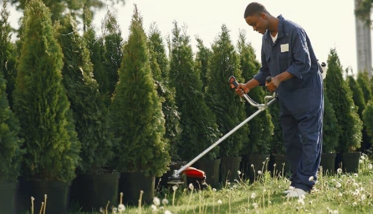 entretenir-un-grand-jardin