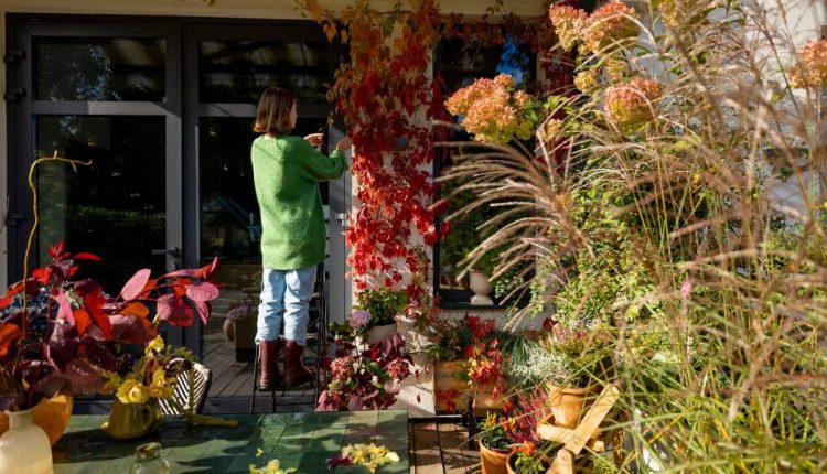 embellir entrée maison