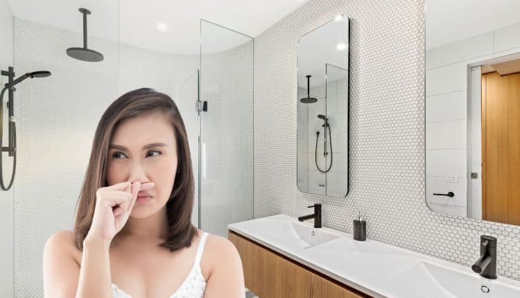mauvaise odeur salle de bain