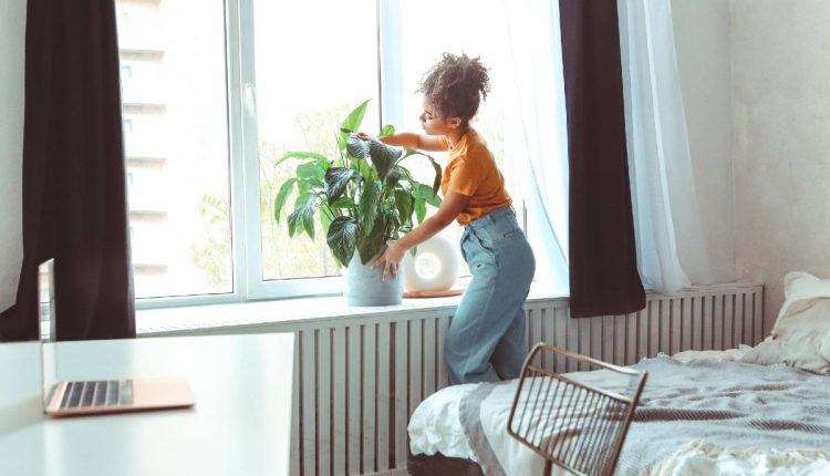 jeune femme s'occupant de son spathiphylium