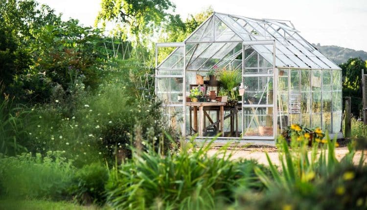 serre en verre 11zon